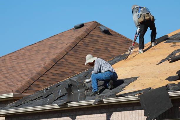 Best Skylight Installation and Repair  in Mingo Junction, OH